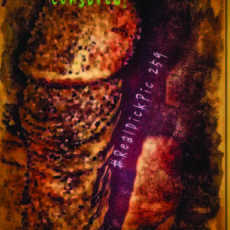 RealDickPic 259 (Comic Filter)